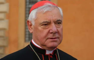 Cardinal Gerhard Müller, prefect of the Congregation for the Doctrine of the Faith, at the Vatican during the Synod on the Family, Oct. 13, 2014.   Daniel Ibañez/CNA.