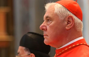 Cardinal Gerhard Mueller in St. Peter's Basilica at the installation Mass of Bishop Maurizio Malvestiti on Oct. 12, 2014.   Lauren Cater/CNA.