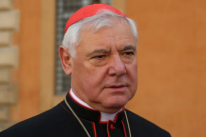 Cardinal Gerhard Mueller outside the Vaticans Synod Hall after a session of the Synod on the Family on Oct 13 2014 Credit Daniel Ib  ez CNA CNA 10 13 14