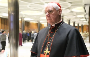 Cardinal Gerhard Müller, prefect of the Congregation for the Doctrine of the Faith, at the Vatican's Synod Hall, Nov. 17, 2014.   Bohumil Petrik/CNA.