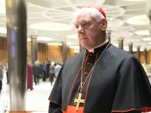 Cardinal Gerhard Müller, prefect of the Congregation for the Doctrine of the Faith, at the Vatican's Synod Hall, Nov. 17, 2014. 