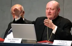 Cardinal Gianfranco Ravasi appears at a Vatican press conference on May 14, 2013. ?w=200&h=150