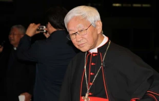 Cardinal Joseph Zen Ze-kiun departs the Pontifical Urbaniana University in Rome, Nov. 18, 2014. Bohumil Petrik/CNA.