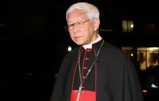 Cardinal Joseph Zen. Bohumil Petrik