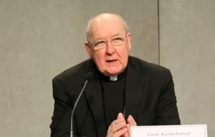 Cardinal Kevin Farrell, prefect of the Dicastery for the Laity, Family and Life, speaks at a press conference at the Holy See Press Office, Jan. 25, 2018.   Alexey Gotovskiy/CNA.