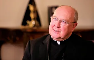 Cardinal Kevin Farell.   Lucia Ballester/CNA
