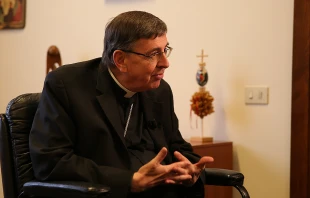 Cardinal Kurt Koch, president of the Pontifical Council for Promoting Christian Unity, speaks to CNA Oct. 22, 2014.   Daniel Ibanez/CNA.