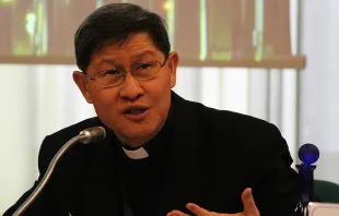 Cardinal Luis Tagle of Manila participates in a conference at the Pontifical Council for the Laity, in Rome, Feb. 6, 2015.   Bohumil Petrik/CNA.