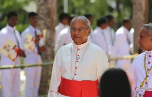 Cardinal Malcolm Ranjith of Colombo in his cathedral city, Jan. 13, 2015. Alan Holdren/CNA.