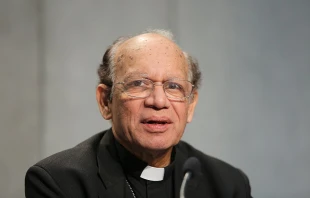 Cardinal Oswald Gracias of Bombay speaks at a press briefing at the Vatican, Oct. 22, 2015.   Daniel Ibanez/CNA.