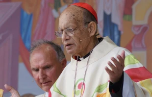 Cardinal Oswald Gracias of Bombay celebrates Mass in Dublin Aug. 22 for the World Meeting of Families.   Rudolf Gehrig / CNA.