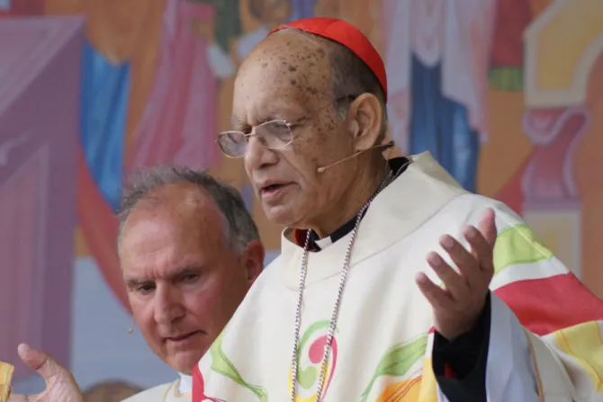 Cardinal Oswald Gracias of Bombay celebrates Mass in Dublin Aug 22 for the World Meeting of Families Credit   Rudolf Gehrig   CNA