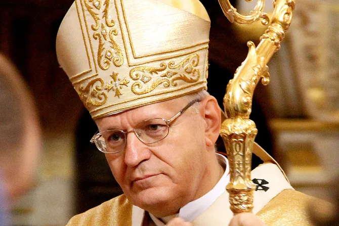 Cardinal Peter Erdo Credit Thaler Tamas CC 30 CNA