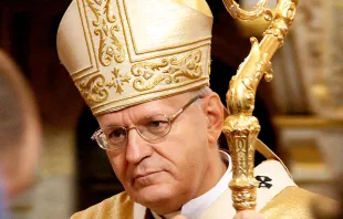 Cardinal Péter Erdő, archbishop of Esztergom-Budapest, Hungary. Thaler Tamás (CC BY 3.0).