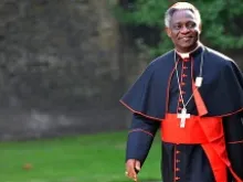 Cardinal Peter Turkson, president of the Pontifical Council for Justice and Peace. 