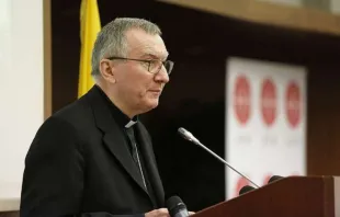 Cardinal Pietro Parolin.   Daniel Ibanez/CNA