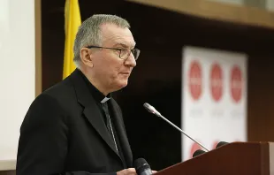 Cardinal Pietro Parolin speaks in Rome, Sept. 28, 2017.   Daniel Ibanez/CNA.