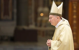 Cardinal Pietro Parolin in St. Peter's Basilica.   Daniel Ibanez/CNA.