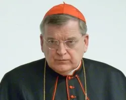 Cardinal Raymond L. Burke appears in a Feb. 2012 file photo. ?w=200&h=150