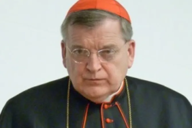 Cardinal Raymond Burke 2 CNA US Catholic News 2 27 12