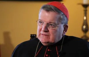 Cardinal Raymond Burke, prefect of the Apostolic Signatura, speaks with CNA Sept. 15, 2014.   Joaquin Piero Perez/CNA.