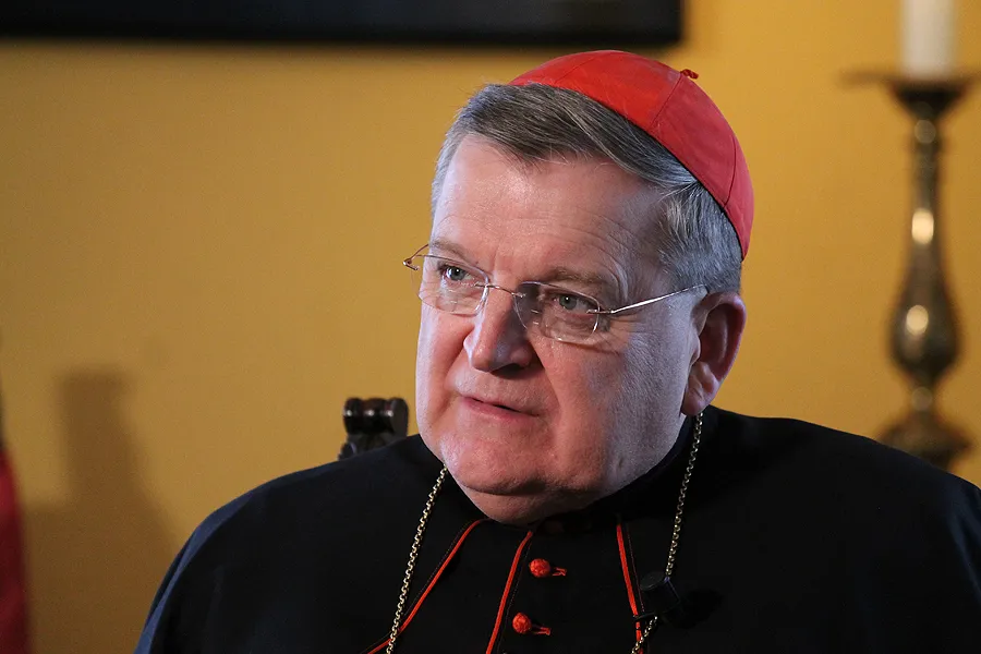 Cardinal Raymond Burke, Prefect of the Supreme Tribunal of the Apostolic Signatura, speaks with CNA in Rome on Sept. 15, 2014. ?w=200&h=150