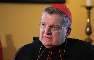 Cardinal Raymond Burke.   Joaquín Peiró Pérez/CNA.