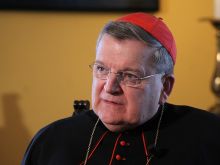 Cardinal Raymond Burke, Prefect of the Supreme Tribunal of the Apostolic Signatura, speaks with CNA in Rome on Sept. 15, 2014. 