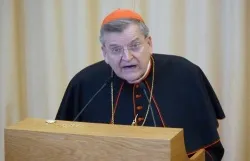 Cardinal Raymond L. Burke delivers the English language keynote address on June 15 2013 for the Evangelium Vitae weekend in Rome. ?w=200&h=150