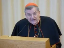 Cardinal Raymond L. Burke delivers the English language keynote address on June 15 2013 for the Evangelium Vitae weekend in Rome. 