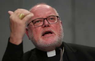Cardinal Reinhard Marx at the Vatican Press Office on Oct. 17, 2014.   Daniel Ibáñez/CNA.