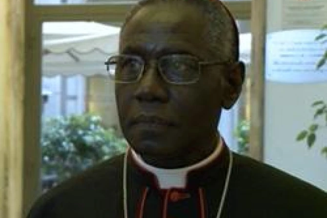 Cardinal Robert Sarah CNA Vatican Catholic News 5 24 11