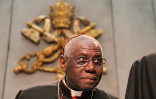 Cardinal Robert Sarah, prefect of the Congregation for Divine Worship and the Discipline of the Sacraments, speaks at the Vatican Feb. 10, 2015.   Bohumil Petrik/CNA.