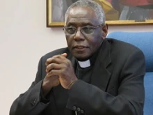 Cardinal Robert Sarah, President of the Pontifical Council Cor Unum, speaks on April 13, 2012.