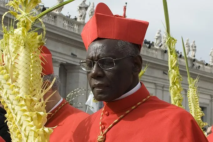 Cardinal Robert Sarah, president of the Pontifical Council Cor Unum, in St. Peter's Square, March 24, 2013. ?w=200&h=150