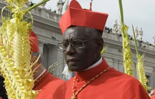 Cardinal Robert Sarah in St. Peter's Square, March 24, 2013.   Sabrina Fusco/CNA.