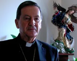 Cardinal Ruben Salazar Gomez speaks to CNA on April 24, 2013 in Rome. ?w=200&h=150
