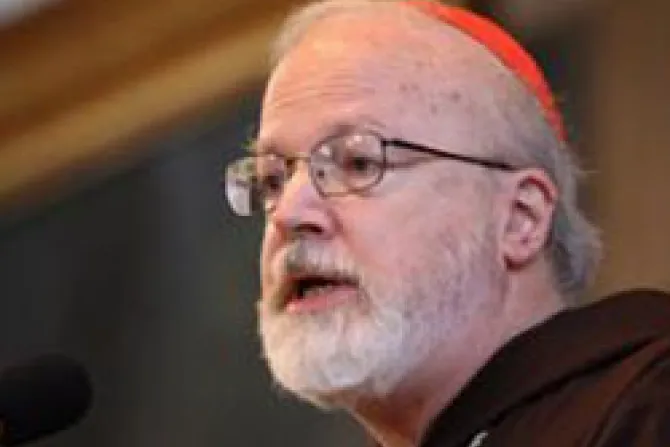 Cardinal Sean OMalley CNA US Catholic News 10 26 10