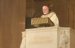 Cardinal Sean O'Malley gives the homily at the opening Mass for the National Prayer Vigil for Life in Washington D.C. on Jan. 21, 2014.   Addie Mena/CNA.