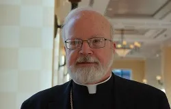 Cardinal Sean O'Malley of Boston at the U.S. bishops' Fall General Assembly  2013. ?w=200&h=150