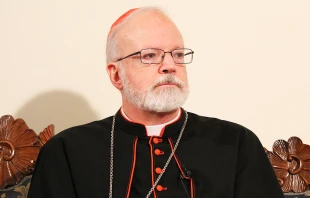 Cardinal Sean O'Malley speaks with CNA in Rome on Feb. 4, 2013.   Stephen Driscoll/CNA.