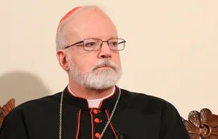 Cardinal Sean O'Malley of Boston. File photo/CNA. 