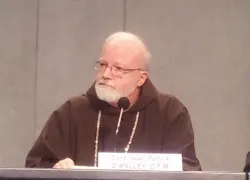 Cardinal Sean P. O'Malley, O.F.M. Cap, at a Dec. 5, 2013 press conference in the Vatican ?w=200&h=150