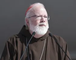 Cardinal Seán O’Malley. ?w=200&h=150