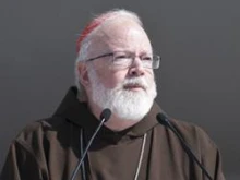 Cardinal Seán O’Malley. 