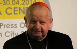 Cardinal Stanislaw Dziwisz, personal secretary to John Paul II, speaking at a press conference, April 25, 2014. ?w=200&h=150