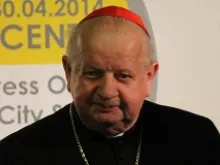 Cardinal Stanislaw Dziwisz, personal secretary to John Paul II, speaking at a press conference, April 25, 2014. 
