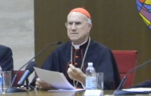 Cardinal Tarcisio Bertone, Vatican Secretary of State, at the encounter for the 40th anniversary of the European bishops' conference.