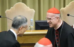 Cardinal Tarcisio Bertone at the Vatican's New Synod Hall on Nov. 12, 2013. ?w=200&h=150