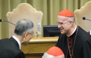 Cardinal Tarcisio Bertone at the Vatican's New Synod Hall on Nov. 12, 2013.   Alan Holdren/CNA.